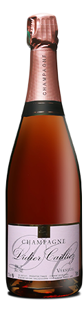 Champagne Rosé Brut